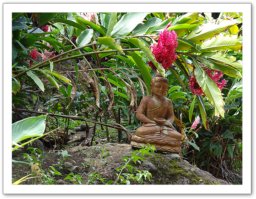 Décoration zen dans le jardin paysager 