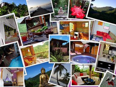 Cliquez pour agrandir l'image