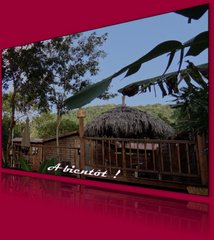 Cliquez pour agrandir l'image