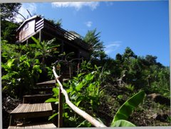 Cliquez pour agrandir l'image