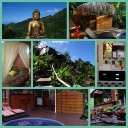 Cliquez pour agrandir l'image