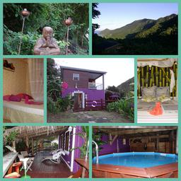 Cliquez pour agrandir l'image