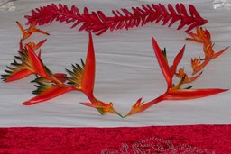 Cliquez pour agrandir l'image