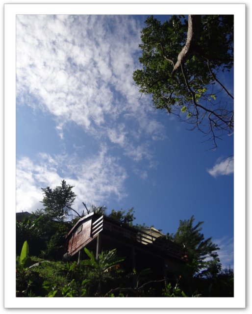 Nid d'Amour bungalow Les Anses d'Arlet nature végétation