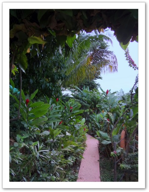 Villa Harmonie balisier terrasse