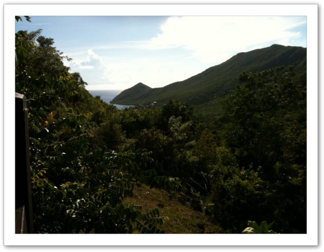 Vue sur Grande Anse aux Anses d'Arlet